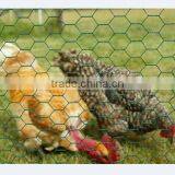 Hexagonal Galvanized Chicken Farming Wire Mesh thumbnail-2