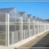 Customized Venlo Polycarbonate Greenhouse for Windy and Snowy Area thumbnail-1