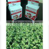 500g Bread Yeast Instant Dry Yeast Fresh Yeast thumbnail-1