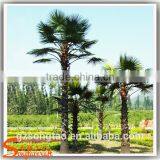 2.5m Hight New Product Large Outdoor Plastic Artificial Palm Trees for Sale thumbnail-2