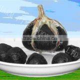High Standard 100% Black Garlic Extract Soft Oil Capsule thumbnail-2