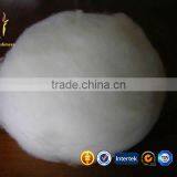 Combed Cashmere Wool Fiber Pure Mongolian Cashmere Fiber thumbnail-2