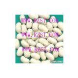 Beans thumbnail-1