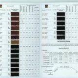 ACID BROWN 348