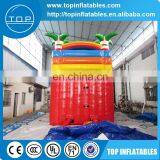 Rainforest Water Slide,giant Inflatable Water Slide for Adult thumbnail-5