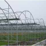 Agriculture Greenhouse Covered With Clear Plastic Poly Film thumbnail-4