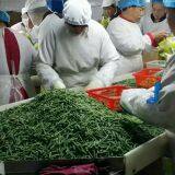 Heze Wit Food Co.,ltd company overview - view 2 thumbnail