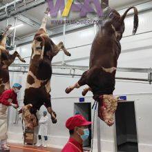 WFA Livestock Abattoir Cow Slaughtering Equipment Blood Trough for Slaughterhouse Machinery thumbnail-5