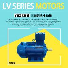 ATEX-Certified Flameproof Three-Phase Asynchronous AC Motor thumbnail-2