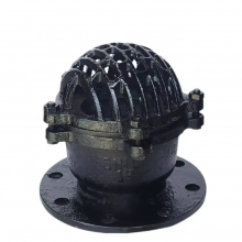 DN100 PN16 Ductile Iron Cast Iron Flange Foot Valve Pressure Filter Check Bottom Valve Foot Valve thumbnail-1