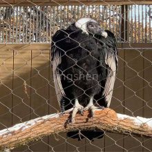 Flexible Stainless Steel Wire Rope Mesh, Woven Zoo Aviary Netting, Stainless Steel Cable Sheath, Elegant Stainless Steel Rope Netting thumbnail-3