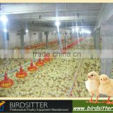 2016 hot sale modern uae automatic poultry feed equipment