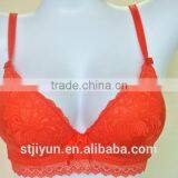 Wholesale Ladies Shantou Sexy Double Push Up Bra