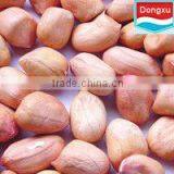 Good Baisha Peanut
