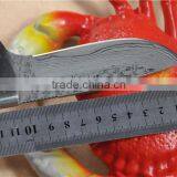 Wood Handle Hunting Knife thumbnail-3