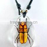 Real Baltic Insect Amber Bead Necklace Design thumbnail-5