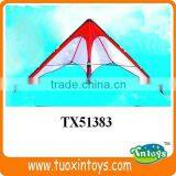 the Chinese Promotional Pocket Kite Factory thumbnail-2