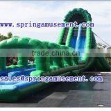 Hot Selling Green Inflatable Water Slide With a Pool SP-PS004