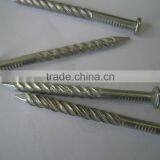 Zinc-coated Screw Nails thumbnail-2