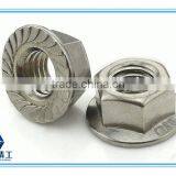 Hexagon Nuts With Flange and High Grade thumbnail-2