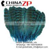 Hotselling CHINAZP Dyed Turquoise Blue Ringneck Wing Quills Feather for Party Decoration thumbnail-1