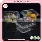 Blister Plastic Contianer Packaging for Ice Cream Bar