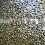 2015 Pumpkin Seeds Kernels A, AA Grade, GWS Kernels
