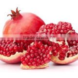 Fresh fruit export for brazil