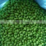 Frozen Organic Soybean, Frozen Organic Edamame in Pod thumbnail-2