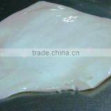 Frozen Squid Fillet thumbnail-1