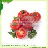 Tomato Paste Ketchup With High Quality thumbnail-4