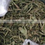 Stevia Extract Pure Powder thumbnail-3