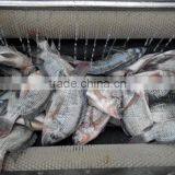 Multi-functional Root Vegetables Washing Machine thumbnail-5