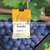 High Quality Boron Humic Acid Acid Granular