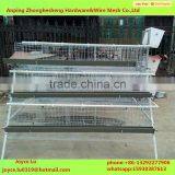 Automatic H Type Battery Layer Chicken Cage