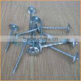 Top Quality Galvanised Roofing Nail With Umbrella Head Trusted Chuanghe Suppliers From Com thumbnail-6