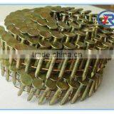 China High Quality Galvanized Coil Roofing Nails thumbnail-5
