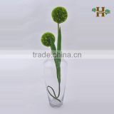 Clear decorative large glass jar, handblown practical single flower glassware for home decoration