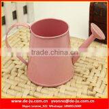 Modern Popular Metal Watering Pot thumbnail-6