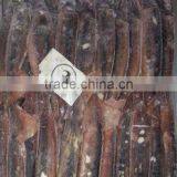 150-200g Frozen Illex Squid thumbnail-1