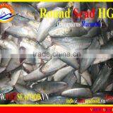 FROZEN HGT ROUND SCAD thumbnail-1