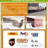 Large Format Solvent Inkjet Printer 1.8m Digital Flex Banner Printing Machine Price for Photo Banner Vinyl Canvas thumbnail-6