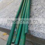 Plastic Coated Bamboo Canes thumbnail-3