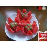 Xinjiang Supplying for Nilton Tomato Paste Ketchup thumbnail-3