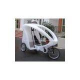 tricycle plastic body