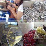 Hebei Shaokun Fur Imp & Exp Trading Co., Ltd. company overview - view 3 thumbnail