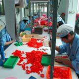 Honghui International company overview - view 2 thumbnail