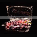 Plastic Cake Food Fruit Container Forming Machine HAS Video PET Disposable Thermoforming Machine Fast Food Box CE,ISO9001 3500kg thumbnail-1