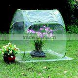 Mini Pop Up Greenhouse thumbnail-5