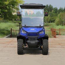 High Quality Club Car Made in China Electric Golf Cart 4 Seats thumbnail-4